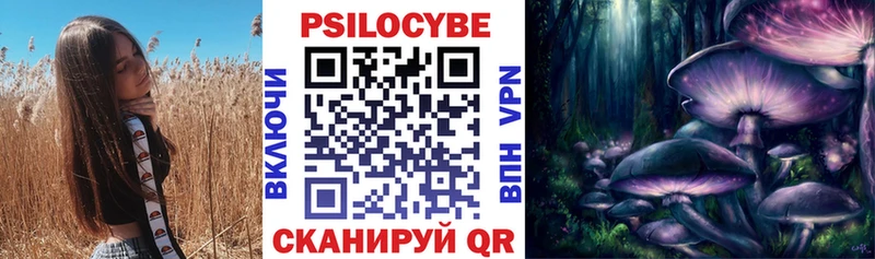 даркнет телеграм закладка Верхотурье Псилоцибиновые грибы Psilocybine cubensis